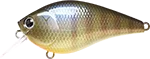 2026_06_16_904934
