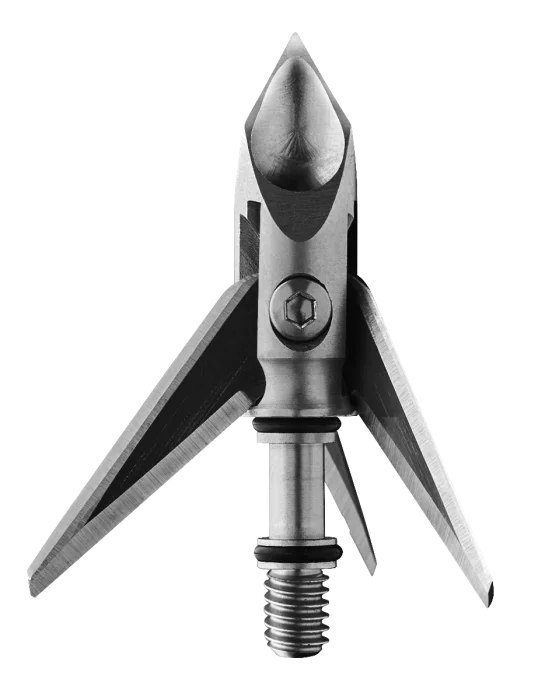 2026_06_16_911969