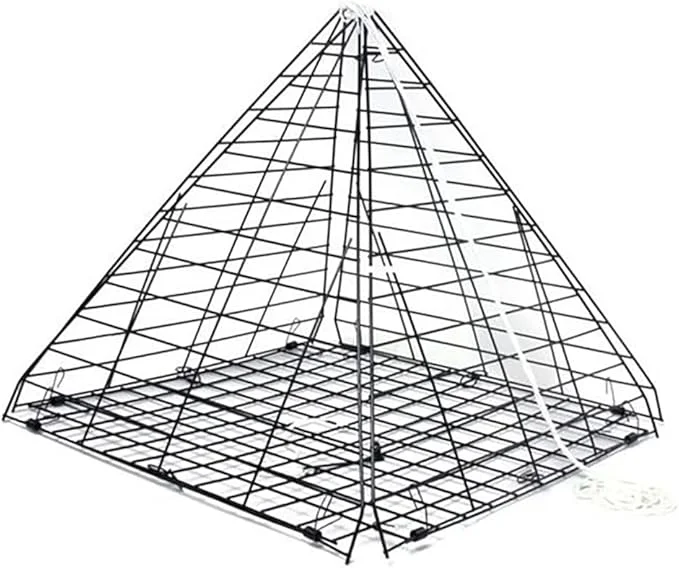 2026_06_16_924618