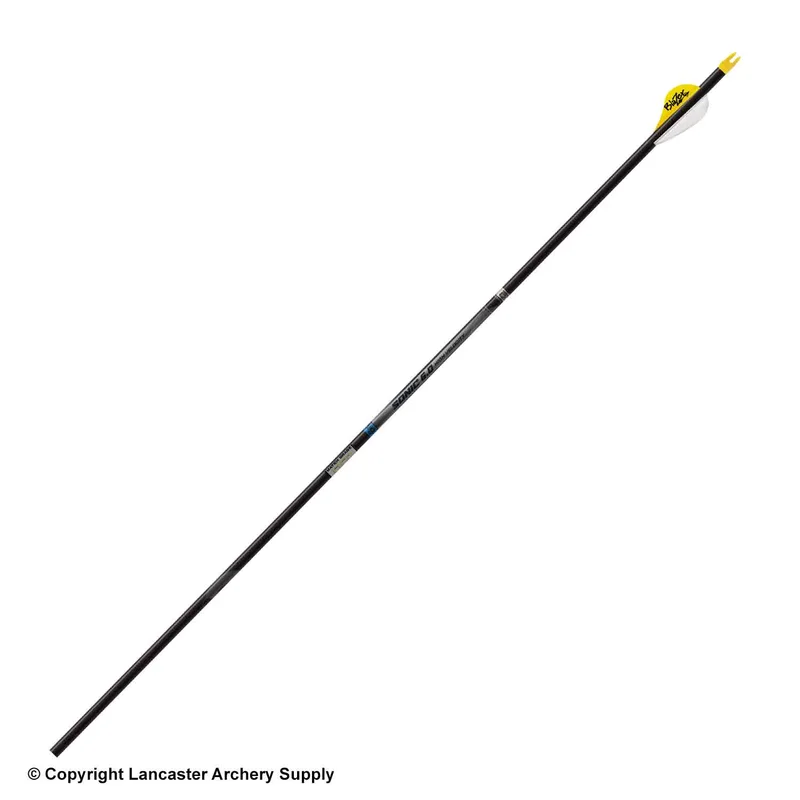 2026_06_17_937570